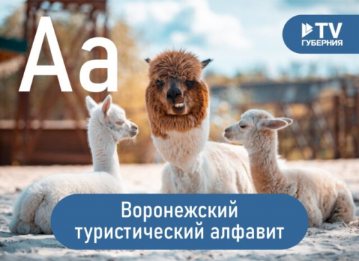 Воронежский туристический алфавит: альпака-парк, Архангельское, «Алые паруса»