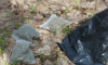 Мужчину с наркотиками поймали в кустарнике на территории воронежского заповедника