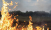 На территории Воронежской области в мае ожидается высокая пожарная опасность