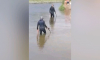 Водолазы с металлоискателями исследуют дно Усманки в Воронеже
