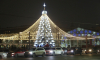 Главную городскую ёлку в центре Воронежа открыли для посетителей