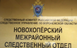 В Воронежской области следователем СК возбуждено уголовное дело по факту хулиганства