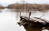 Машина с тремя бойцами СВО утонула в реке в Воронежской области