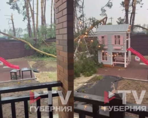Падающие с соседнего участка сосны едва не убили трёхлетнюю девочку в посёлке под Воронежем