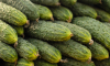Цены на огурцы взлетели в Воронежской области