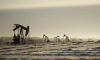 Совладелец Внуково вновь ищет покупателя для нефтяного месторождения в Астраханской области за 1,3 млрд долларов