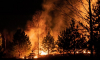 Воронежская область снова оказалась в зоне риска возникновения ЧС по лесным пожарам