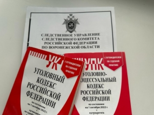 Бывший начальник отдела межрайонной налоговой инспекции предстал перед судом за мошенничество в крупном размере