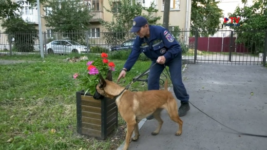 Рано утром 1 сентября в школах Воронежа искали взрывчатые вещества
