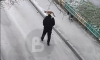 Воронежцев развеселил мужчина, гуляющий с котом на голове (ВИДЕО)