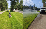 Воронежские власти рассказали, как спасают городские газоны в жару
