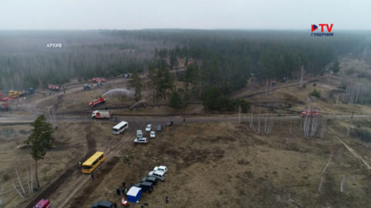 В 2023 году в Воронежской области не было допущено ни одного лесного пожара