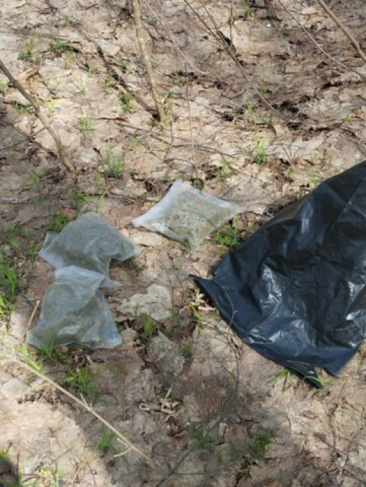 Мужчину с наркотиками поймали в кустарнике на территории воронежского заповедника