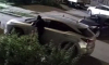 Воронежец воровал зеркала с люксовых авто