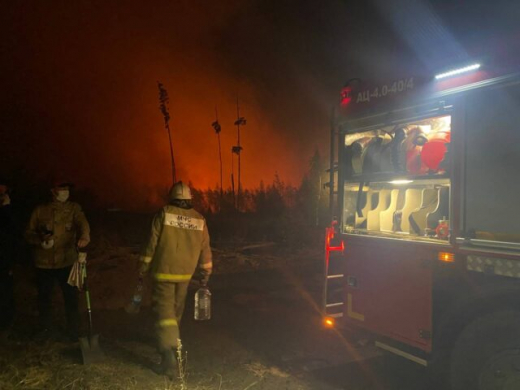 Три человека погибли при сжигании сухой травы и мусора в Воронежской области в 2024 году