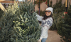 В Воронеже открылись ёлочные базары