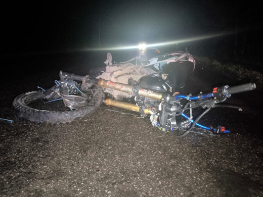 Двое детей попали в больницу из-за лихачества воронежца на «Жигулях»