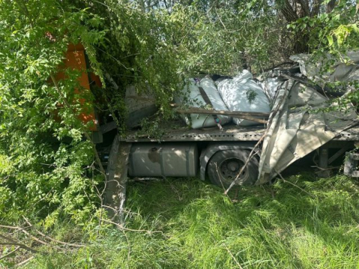 Грузовик на большой скорости влетел в дерево в Воронежской области: водитель погиб