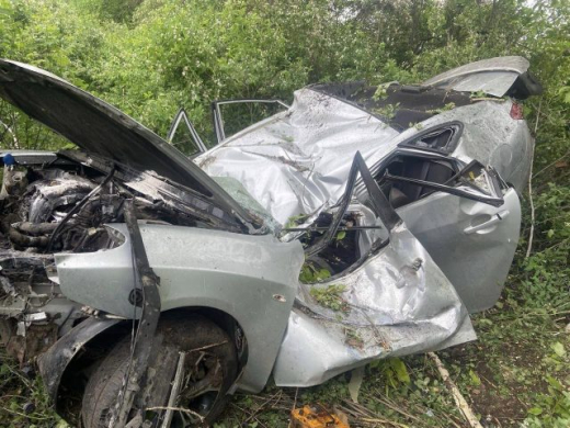 Водитель иномарки, врезавшейся в дерево под Воронежем, погиб
