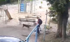 СК возбудил уголовное дело после нападения собак на подростка в Воронеже