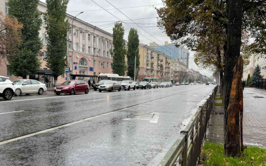 Облправительство перехватывает управление воронежскими «выделенками»