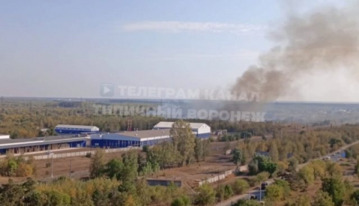 В Воронеже загорелась мусорка рядом с лесом
