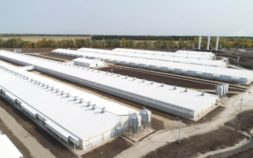«Агроэко» запустила в Тульской области свиноводческий комплекс на 48 тыс. голов