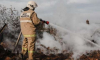 Для борьбы с пожарами в Воронежской области потребовалась помощь министра