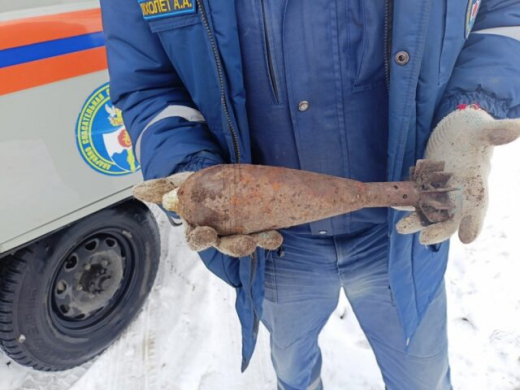 Житель воронежского села нашёл рядом с домом миномётную мину времён ВОВ