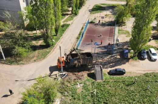 Свалку в Тенистом убрали после публикации «TV Губернии»