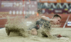 Воронежцы завоевали еще три медали командного Чемпионата России