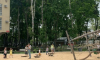 В парке «Орленок» в Воронеже вырубят несколько деревьев