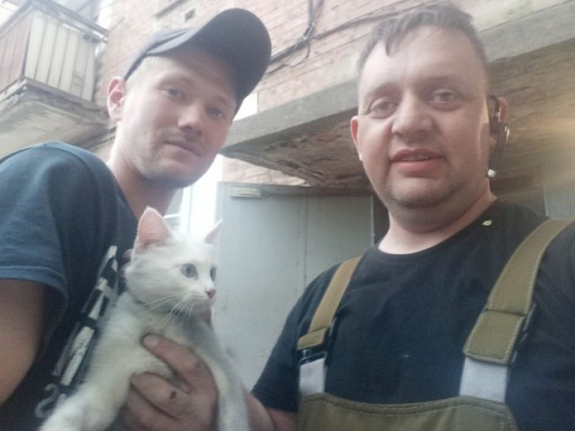Воронежский спасатель достал котёнка, который несколько дней просидел на дереве