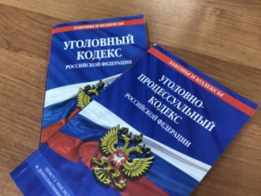 Следователем СК организована проверка по сообщениям в соцмедиа о повреждении аллеи памяти в городе Воронеже