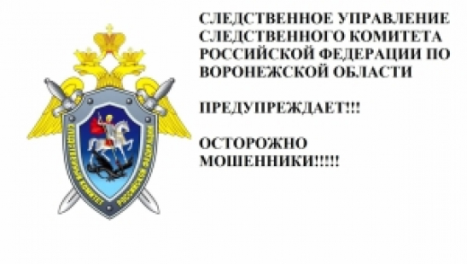 Следственное управление СК России по Воронежской области предупреждает граждан о телефонных мошенниках, которые убеждают людей совершать поджоги