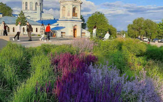 84% воронежцев требуют новых зеленых насаждений в городе