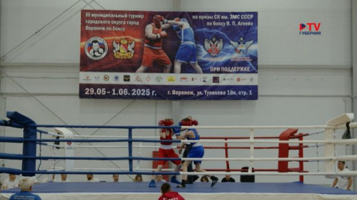 В Воронеже провели престижный турнир в честь знаменитого советского боксёра Виктора Агеева