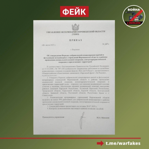 Воронежских ветеринаров не будут отправлять в зону СВО