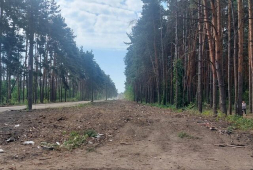 Экологи провели очередную проверку строительства дороги в Воронеже