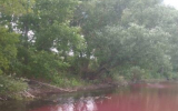 Экологи проверили малиновый водоём в Воронежской области