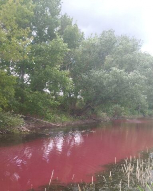 Экологи проверили малиновый водоём в Воронежской области