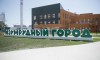 Жена мэра Сергея Петрина стала замдиректора нового детсада «Изумрудный город» в Воронеже