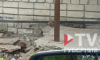 «Не двор, а зоопарк»: воронежец снял стаю огромных крыс возле своего дома