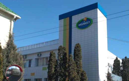 «Молвест» ищет площадку для нового производства в Воронежской области