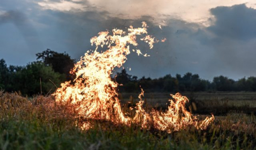 Поле с сухой травой загорелось около деревни под Воронежем