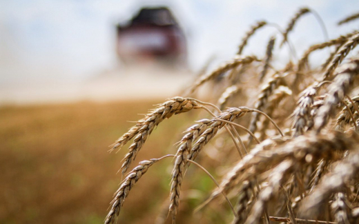 АПК и сельские территории Липецкой области получат более 5 млрд рублей господдержки в текущем году