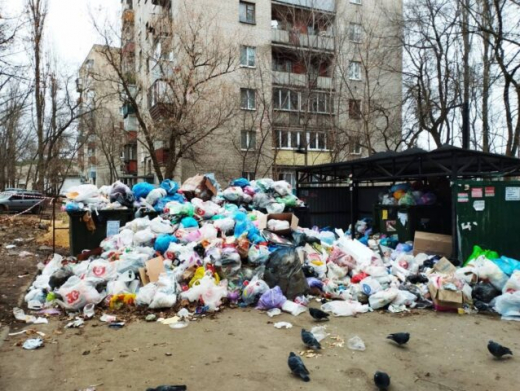 «Жители элитного ЖК носят свой мусор к нам»: воронежцы пожаловались на переполненные контейнеры