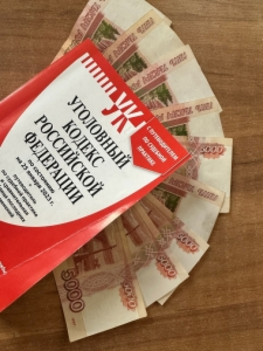Иностранный гражданин подозревается в покушении на дачу взятки сотруднику полиции