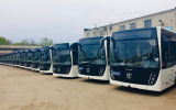 Воронежцам предложили пройти опрос о качестве работы общественного транспорта