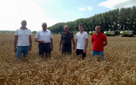 Специалисты ГК «Продимекс» встретили гостей на полях агрохозяйства «Елань – Агро» в Воронежской области